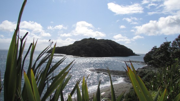 New Zealand day 2 cont 012